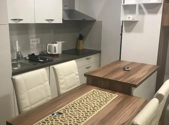 Tara Jagodina, Ima Free Parking U Garazi Jagodina