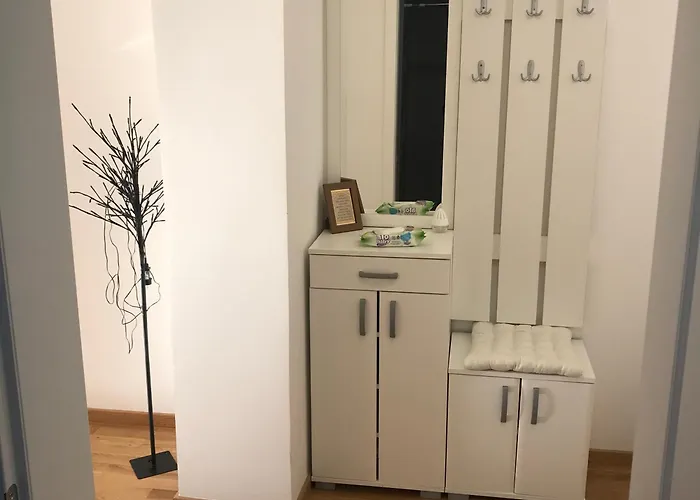 Tara Jagodina, Ima Free Parking U Garazi *