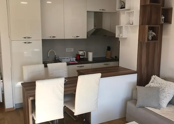 Tara Jagodina, Ima Free Parking U Garazi Jagodina