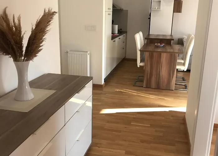 Tara Jagodina, Ima Free Parking U Garazi *